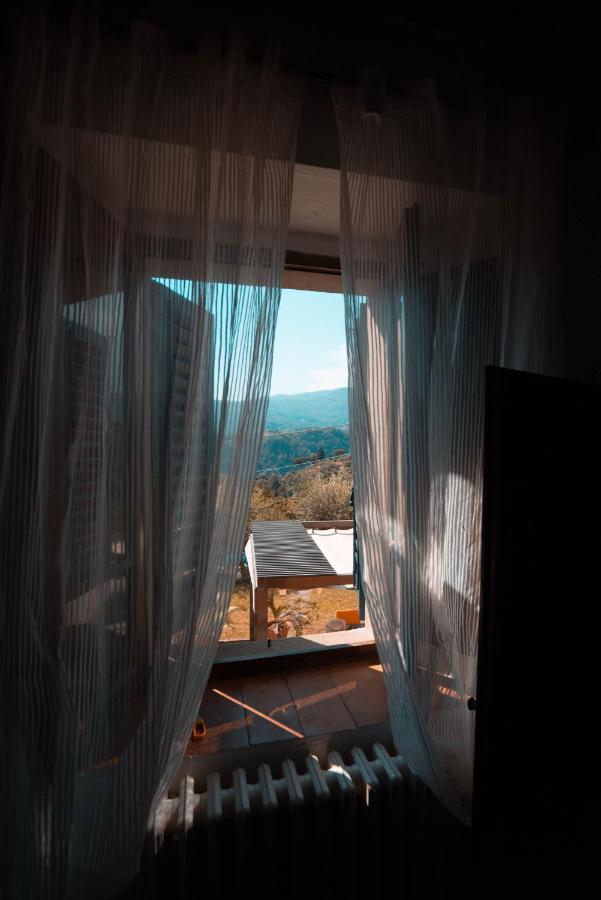 Luxury Villa In Tuscany - Casa Di Nonnas 페시아 외부 사진